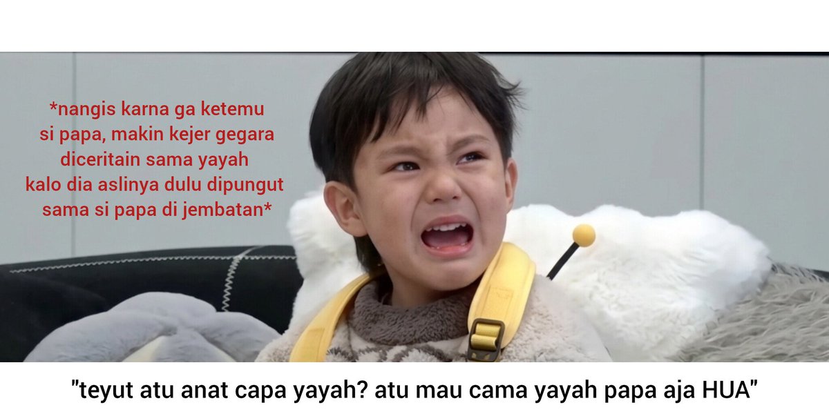 mio tweet media