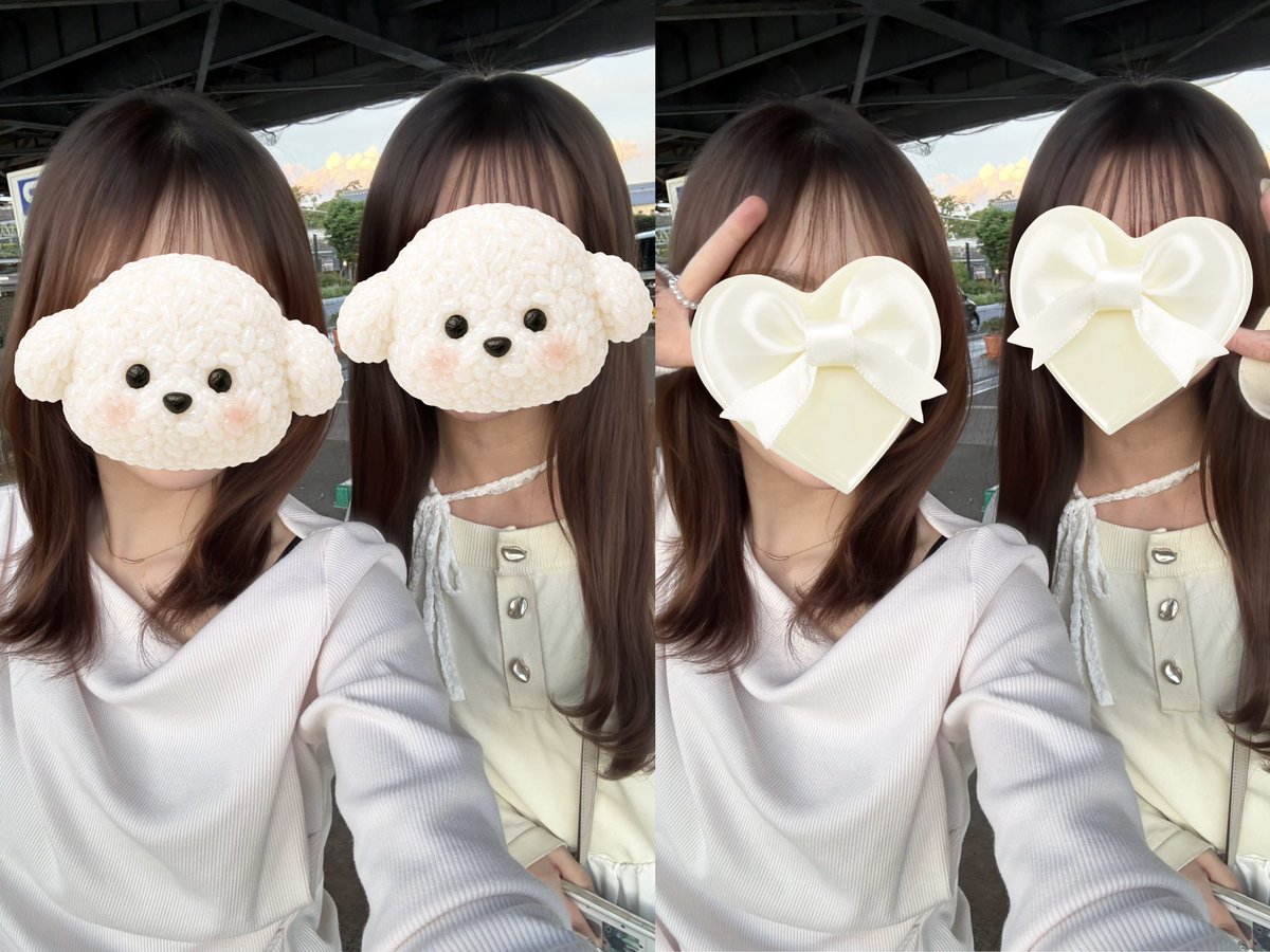 🎀 tweet media