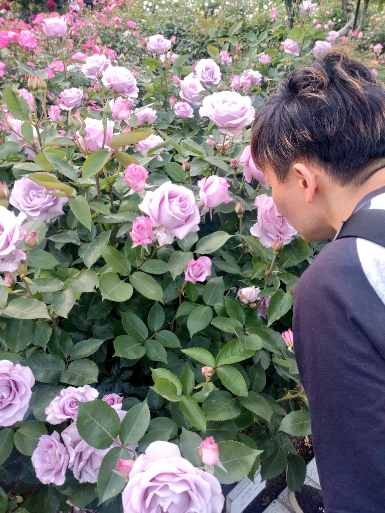 ☆masyu🌈平日低浮上 tweet media