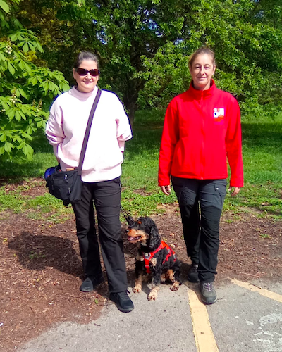 ServiceDogsUK tweet media