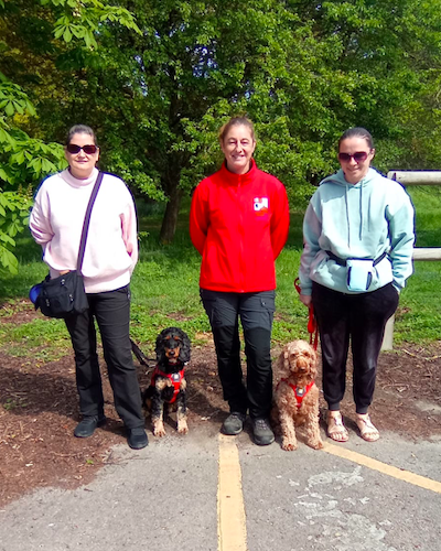 ServiceDogsUK tweet media