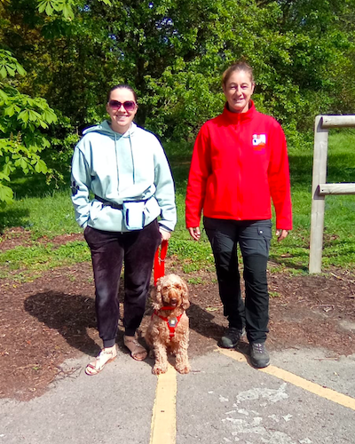 ServiceDogsUK tweet media