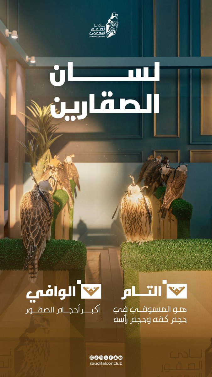 المركز الوطني للصقور National Center for Falcons tweet media