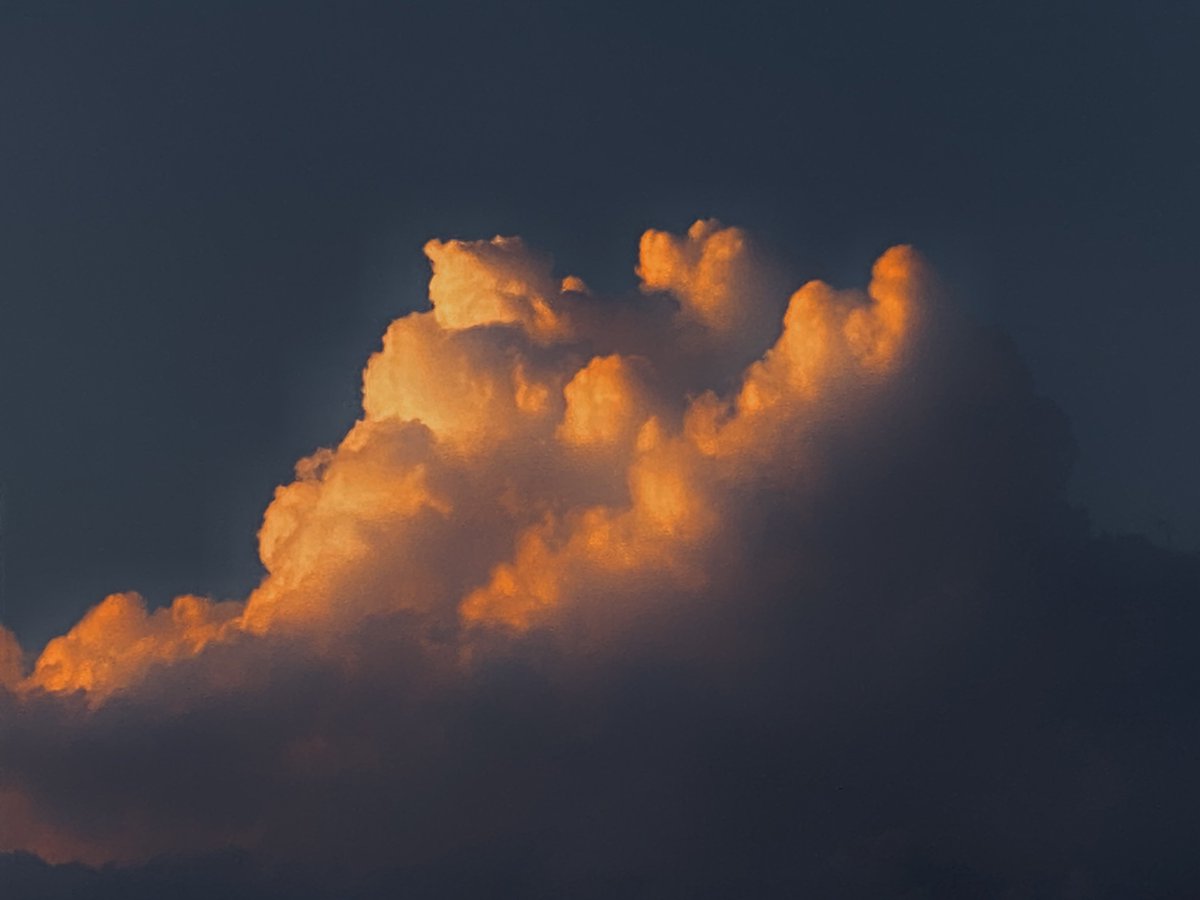 Matilda tweet media
