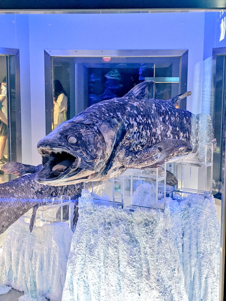 wondermaker54's tweet photo. 本日は、沼津に色々と調査へ🦈 https://t.co/doY14tGjl7