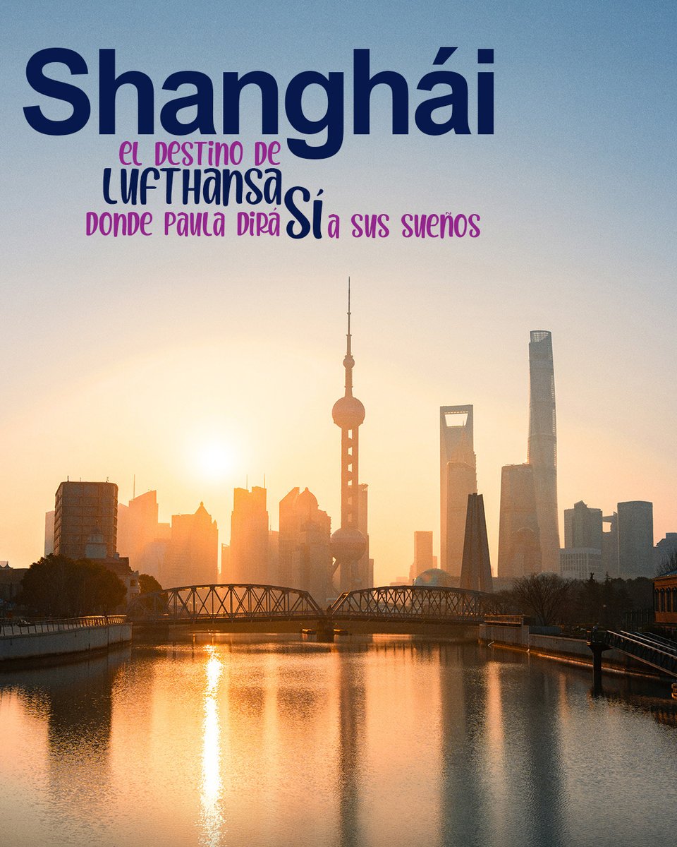 Shangay tweet media