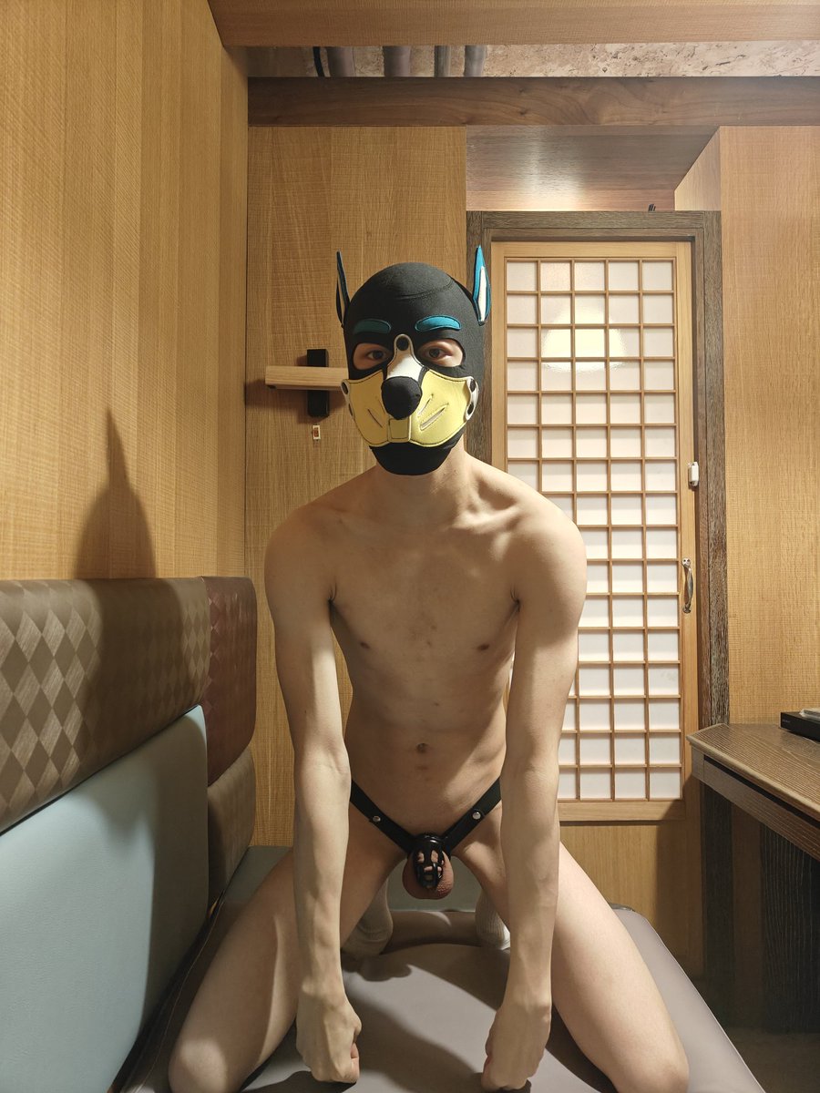 pup20240901's tweet photo. 偷偷來個戴鎖挑戰(⁠`・ω⁠・)

愛心❤️+30min
轉推🔄+3hr
追蹤✅+1hr

到5/17 23：59截止
上次最後只有三天，太簡單了😗
這次應該不會太多 吧？ https://t.co/3U8E2tRyf6