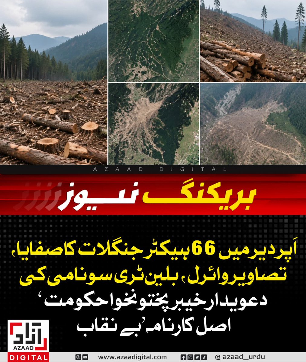 صحرانورد tweet media