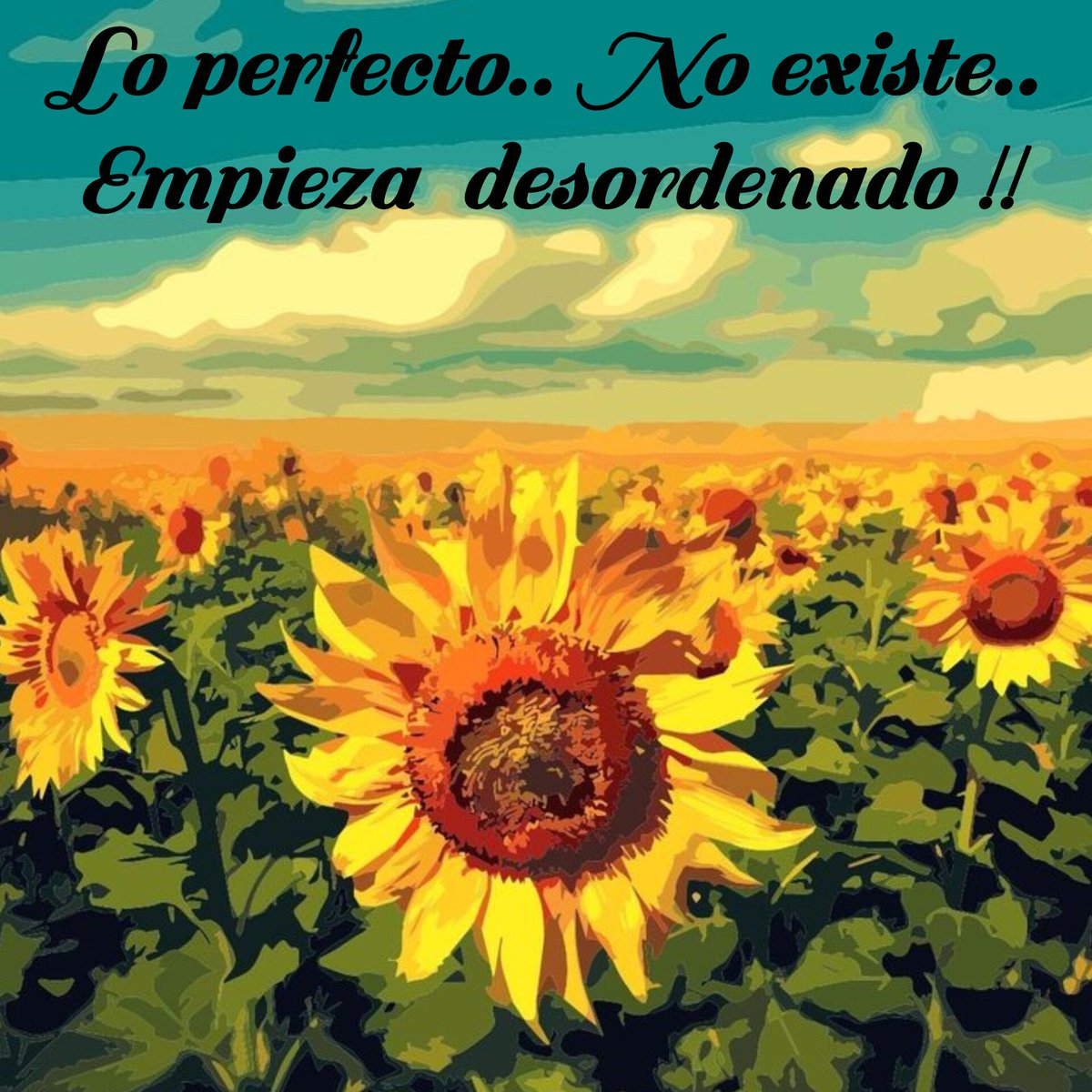 @ColoBV5 tweet media