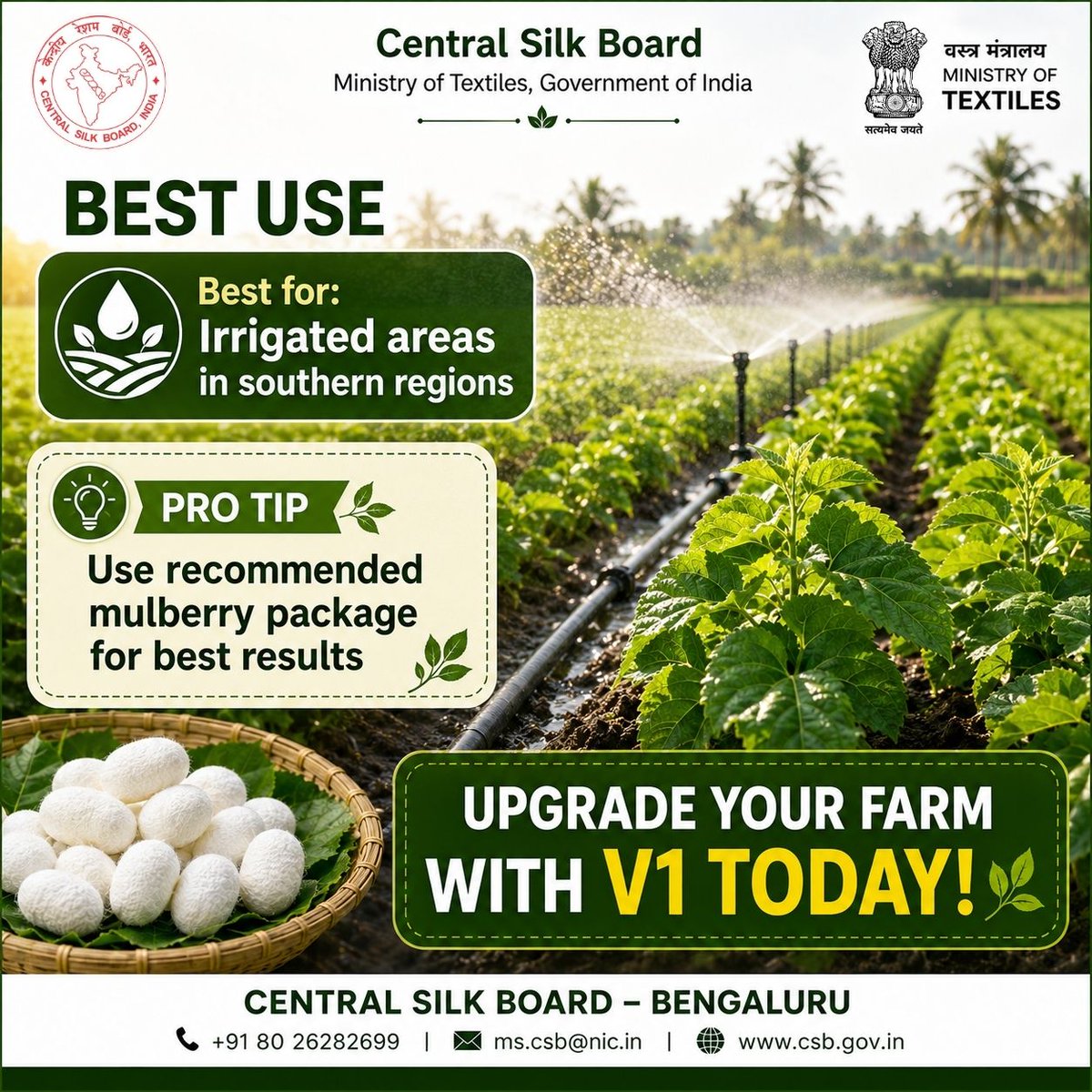 Central Silk Board Ministry of Textiles tweet media
