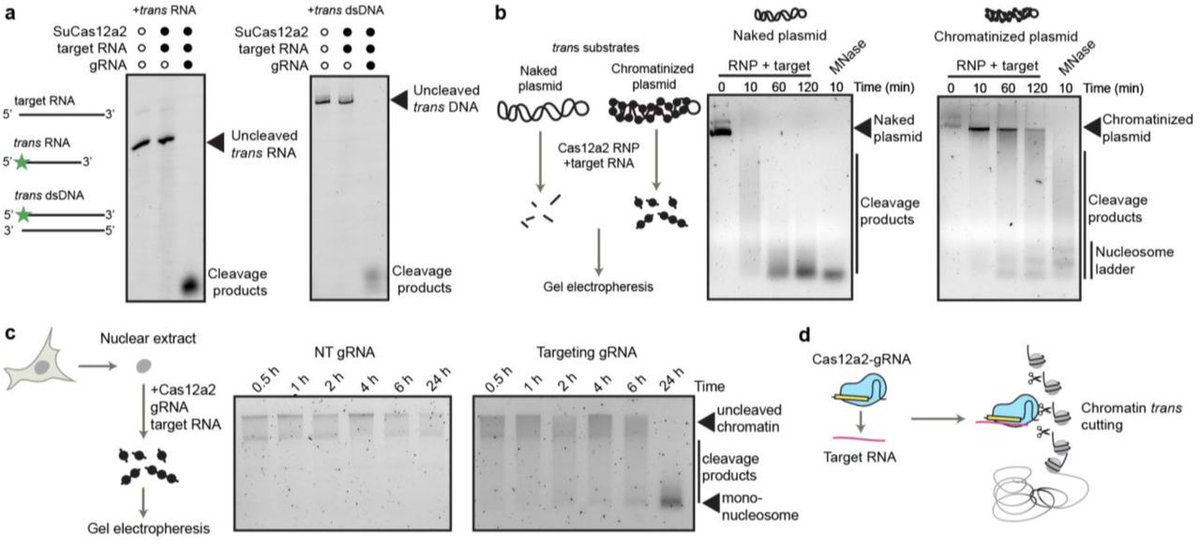 Epigenome Technologies Inc. tweet media