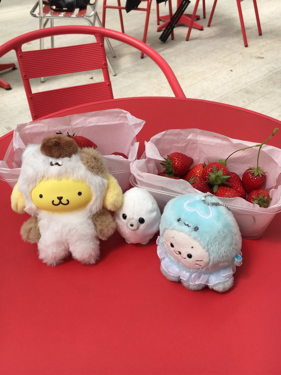 1_oo0_mu's tweet photo. いちご狩り毎日やりたい https://t.co/AB5RcFJaSw