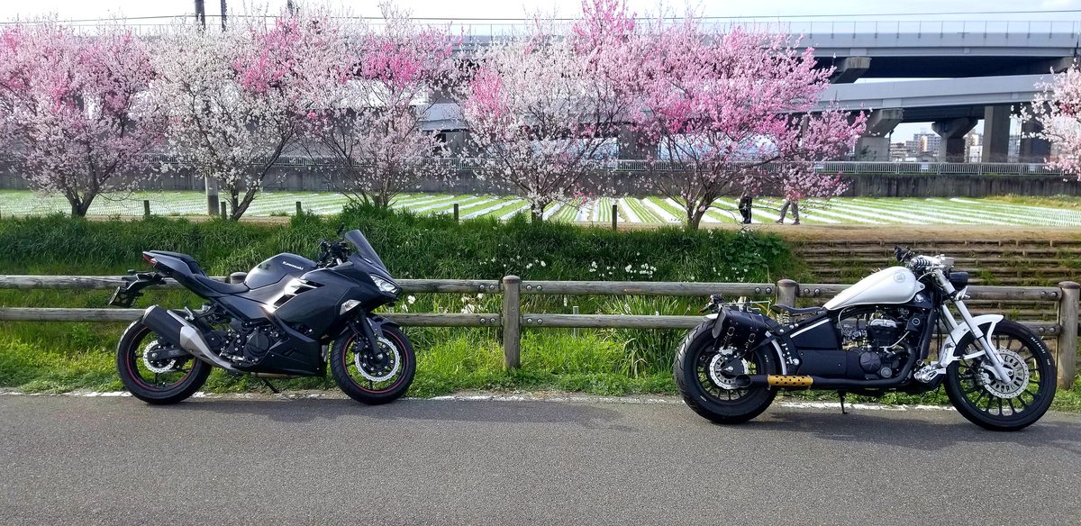 LeonartWhite's tweet photo. #バイクと田舎道のかっこいい画像を貼ってね
#daytona125
#ninja250 https://t.co/BVoArCOVZz