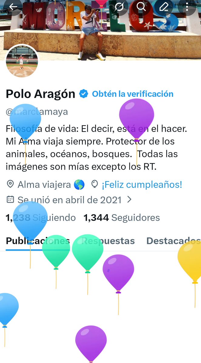 Polo Aragón tweet media