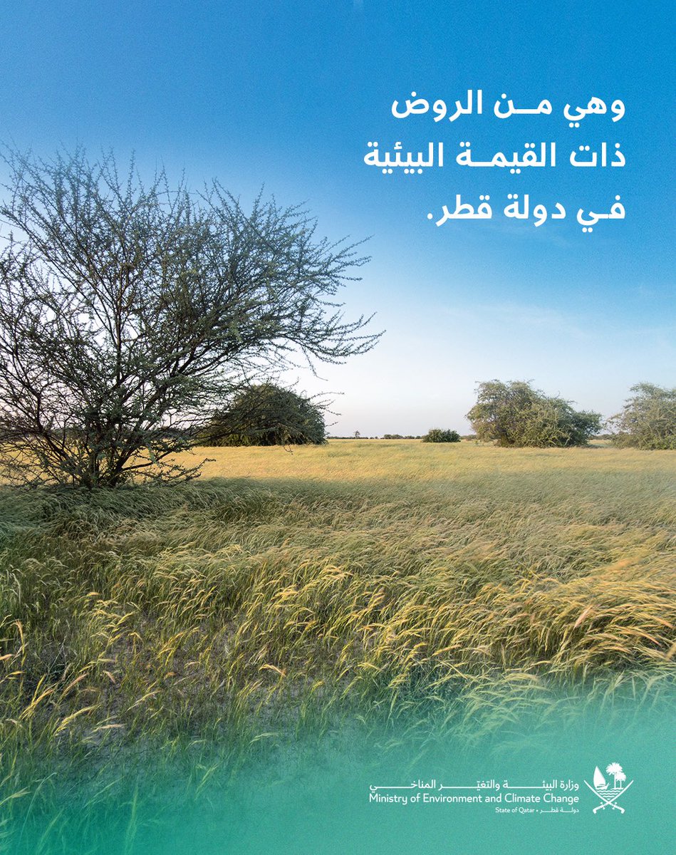 وزارة البيئة والتغير المناخي tweet media