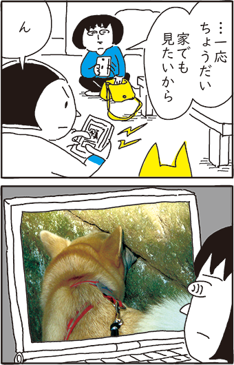 yama_imo208 tweet picture