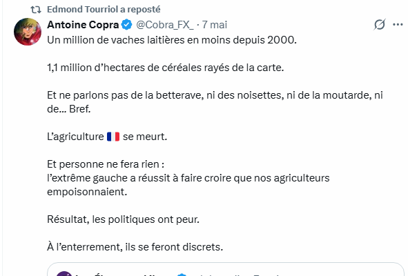 Alexandre Jaafari tweet media