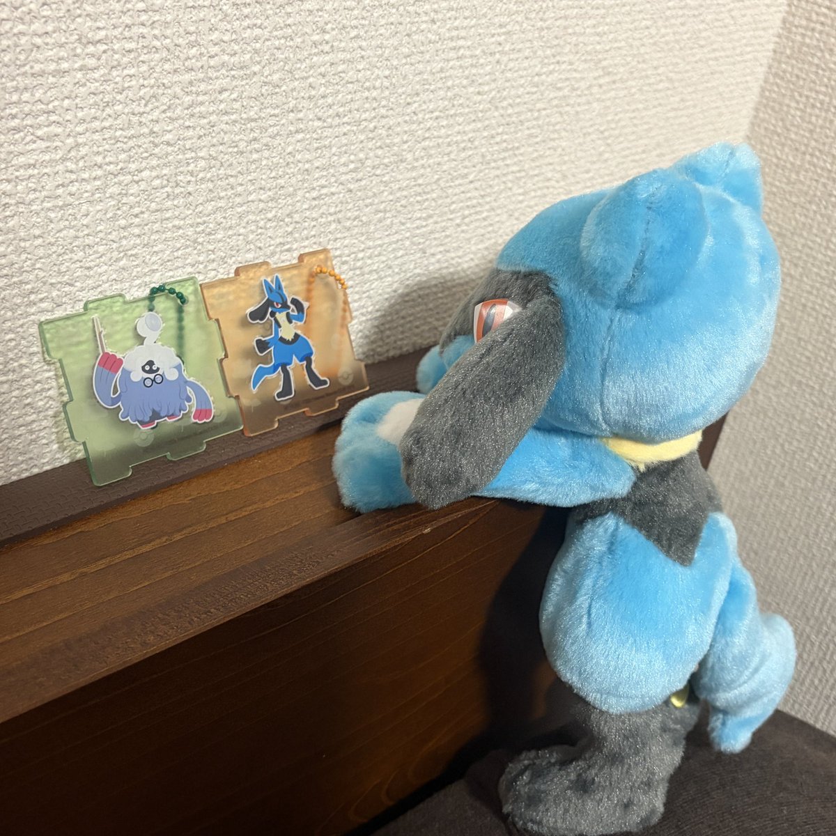 リオル&鯵まんじゅう tweet media