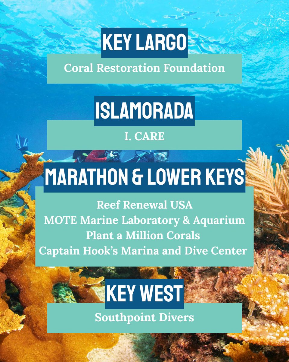 The Florida Keys & Key West tweet media