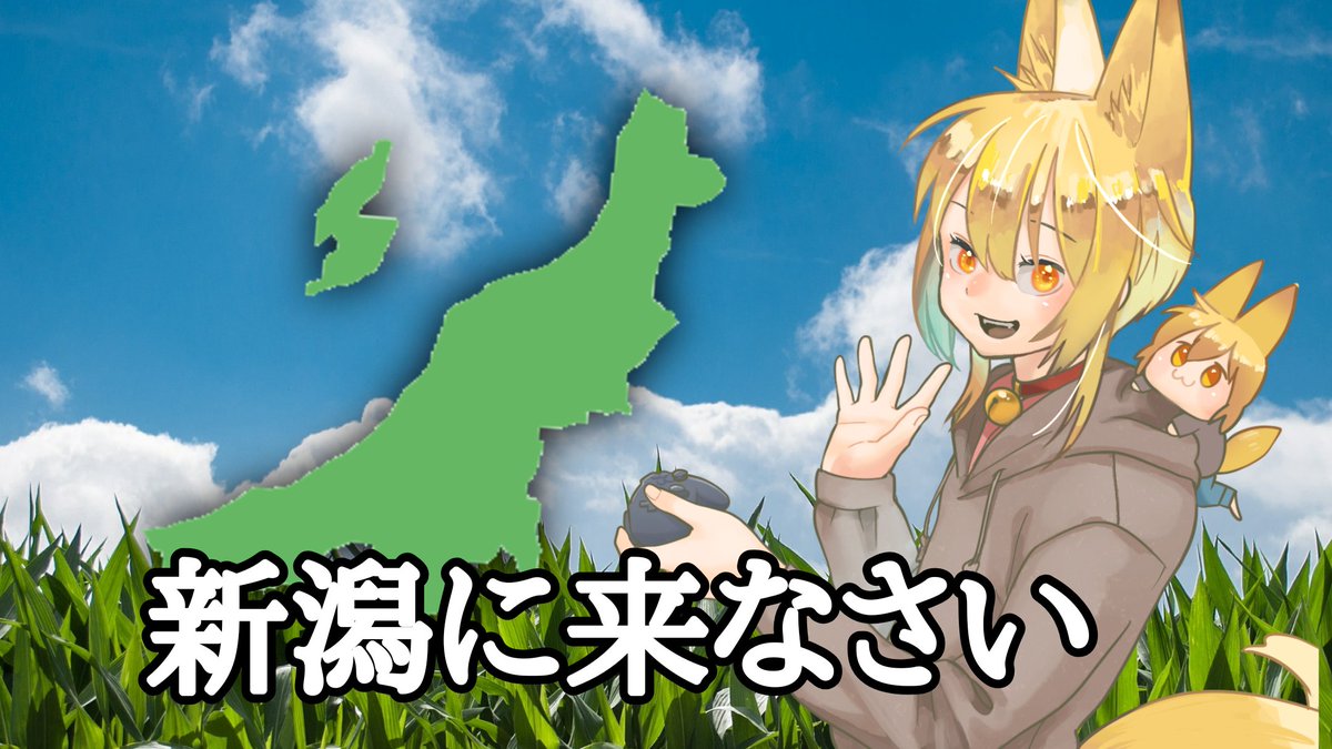 コハク🦊🌽Vtuber🍃the新潟 tweet media