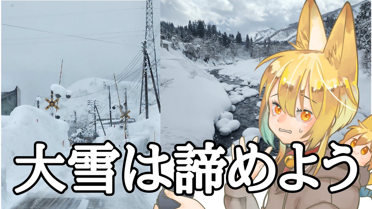 コハク🦊🌽Vtuber🍃the新潟 tweet media