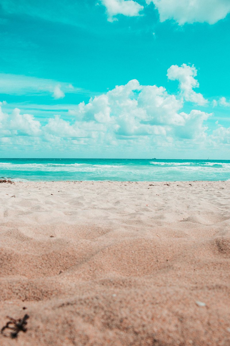 earthcurated tweet picture