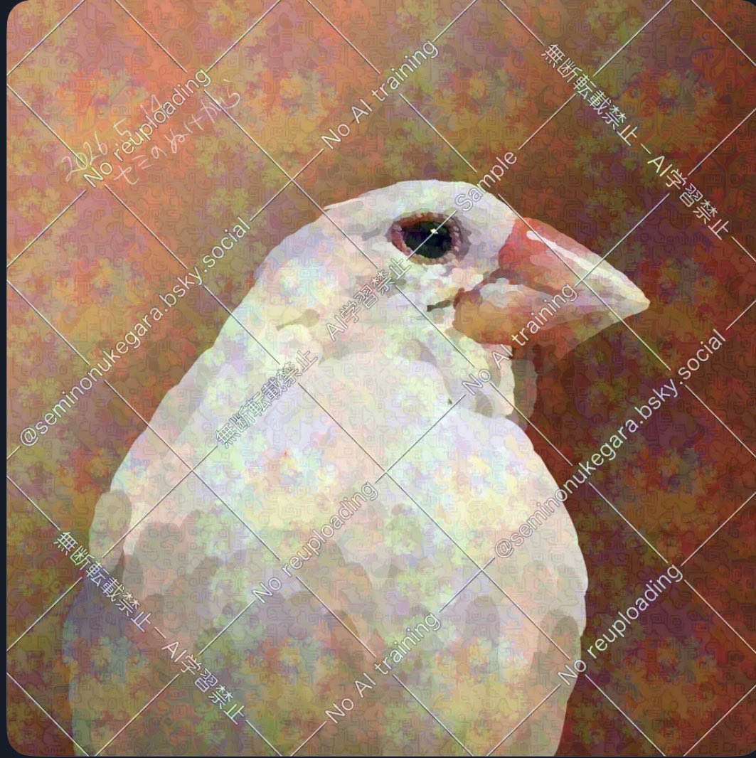 セミのぬけがら𓆦𖠣 (@Mg3Si4O10_OH_2) / Posts / X
