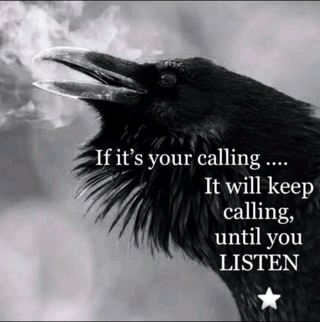 🐦⬛Awaken the fallen🐦⬛ tweet media