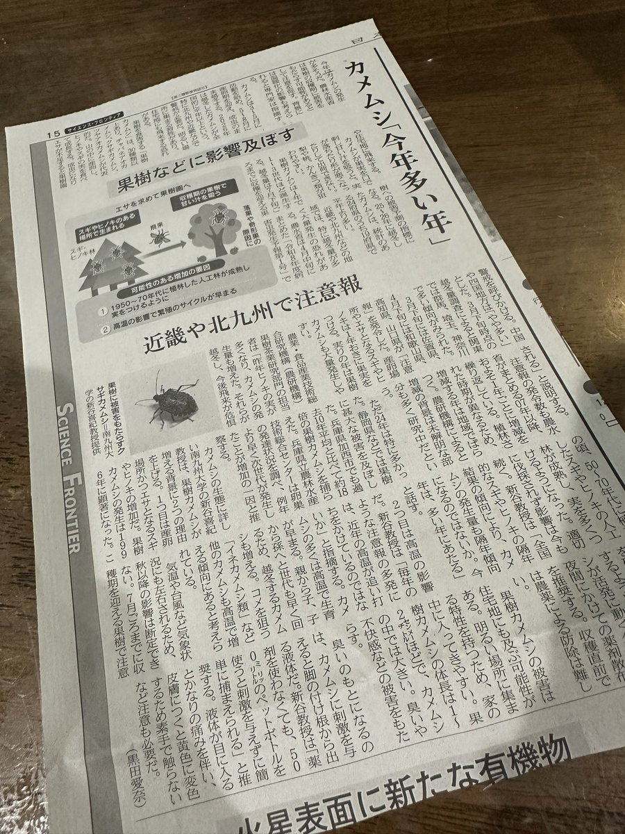yuponyaaan's tweet photo. 今日はやっぱり良くない日だ。お父さんが切り抜きをみせてあげようと、良かれと思って置いてあったこれ見て飛び跳ねた😫😫😫😫😫😫😫今年はそういう年になるの…😫😫😫😫😫😫😫？ https://t.co/kE5IZ6FYrN
