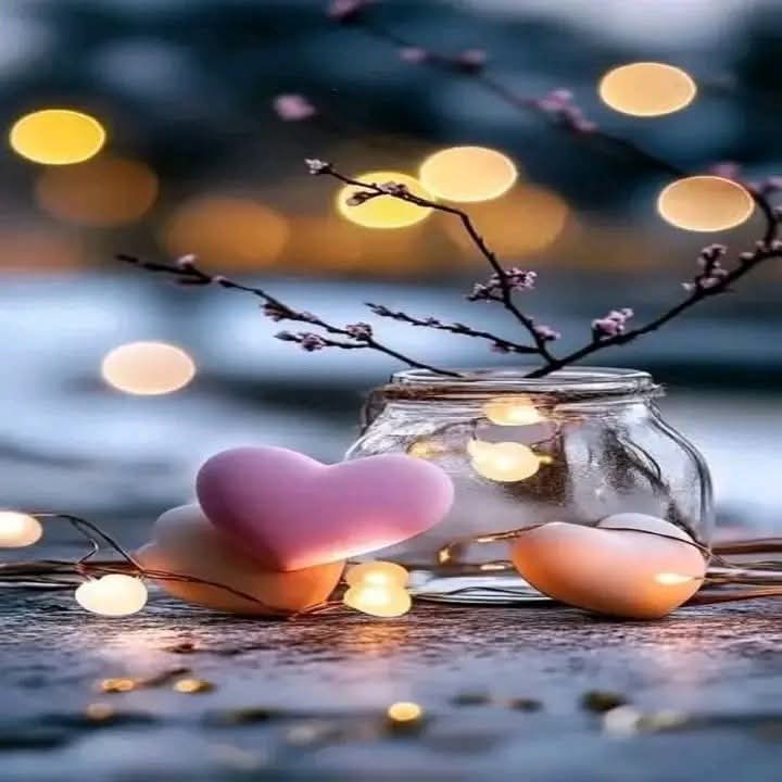 365💞رُٓوٌٓحًےّْ💞ℛ ❥ْْ❥ْْ𝟟💞 tweet media