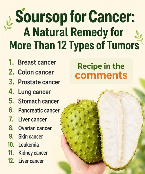 HealthOrganica_'s tweet photo. Soursop and its power against that which no one can explain… https://t.co/qekfWDCd0L