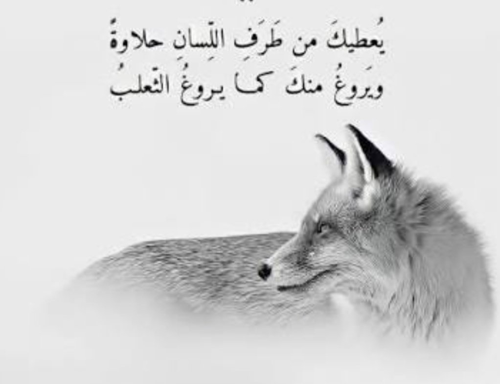 Assad El Abbas tweet media