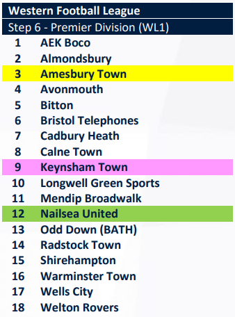 somersetcfl's tweet photo. A massive congratulations to @NailseaUnited, who are confirmed by The FA as a Step 6 club! 

Nailsea will play their games in the Jewson @_WesternLeague_ Division One next season! 

Go well, Nailsea 🔴 https://t.co/wVCr2sVDh4