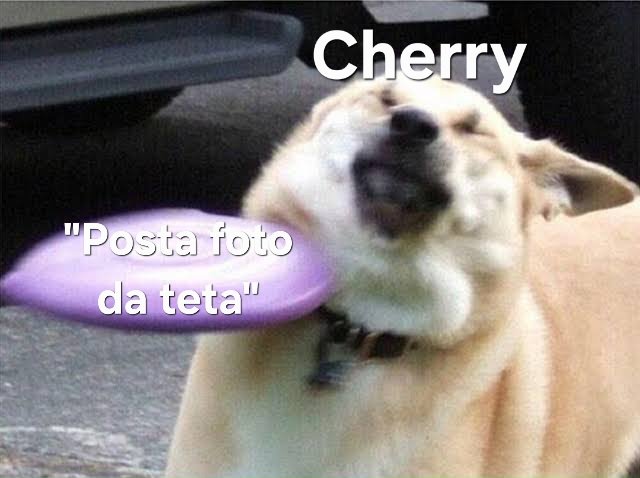 Cherry🍒(mulher de militar) tweet media