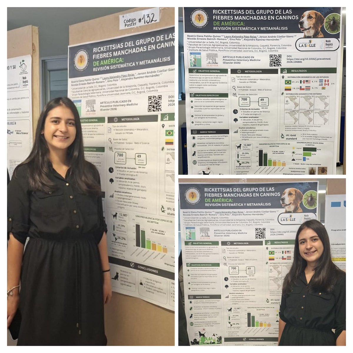 EpiPublicHealth's tweet photo. Participación de Laura Paez, integrante del Semillero de Investigación Una Salud @OneHealthSalle, con su póster, en el XXIV Encuentro Regional y I Encuentro Internacional de Semilleros de Investigación @RedCOLSI @RedCOLSIOFICIAL @unisalle, felicitaciones a todo el equipo. https://t.co/qgI3sMJITL