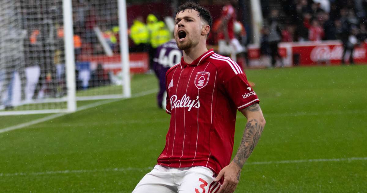 Forest Transfer Hub tweet media