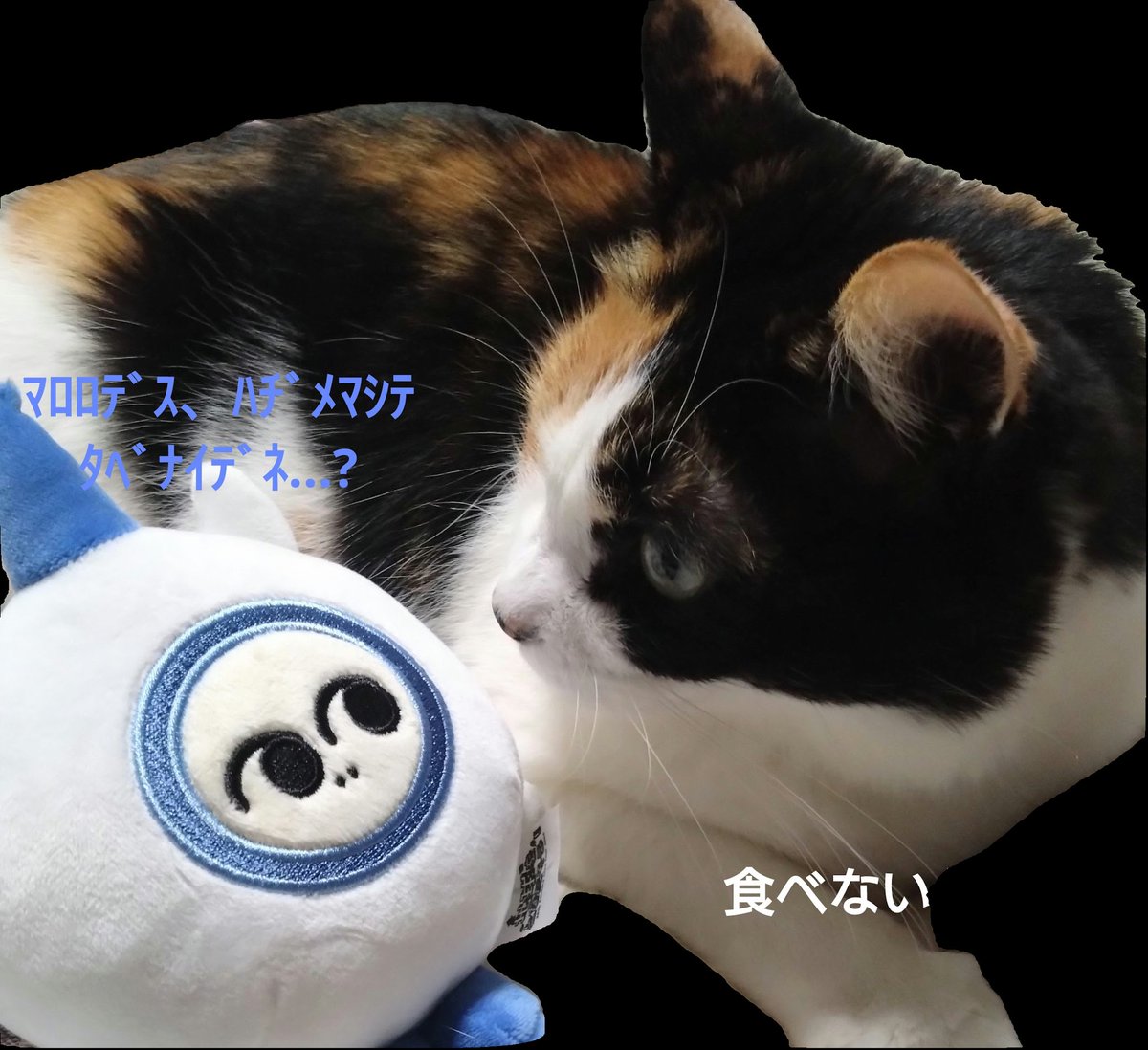 たまこꉂ☻紙モノおすそ分けꉂ☻ Post by たまこ on X: 元はこれです。