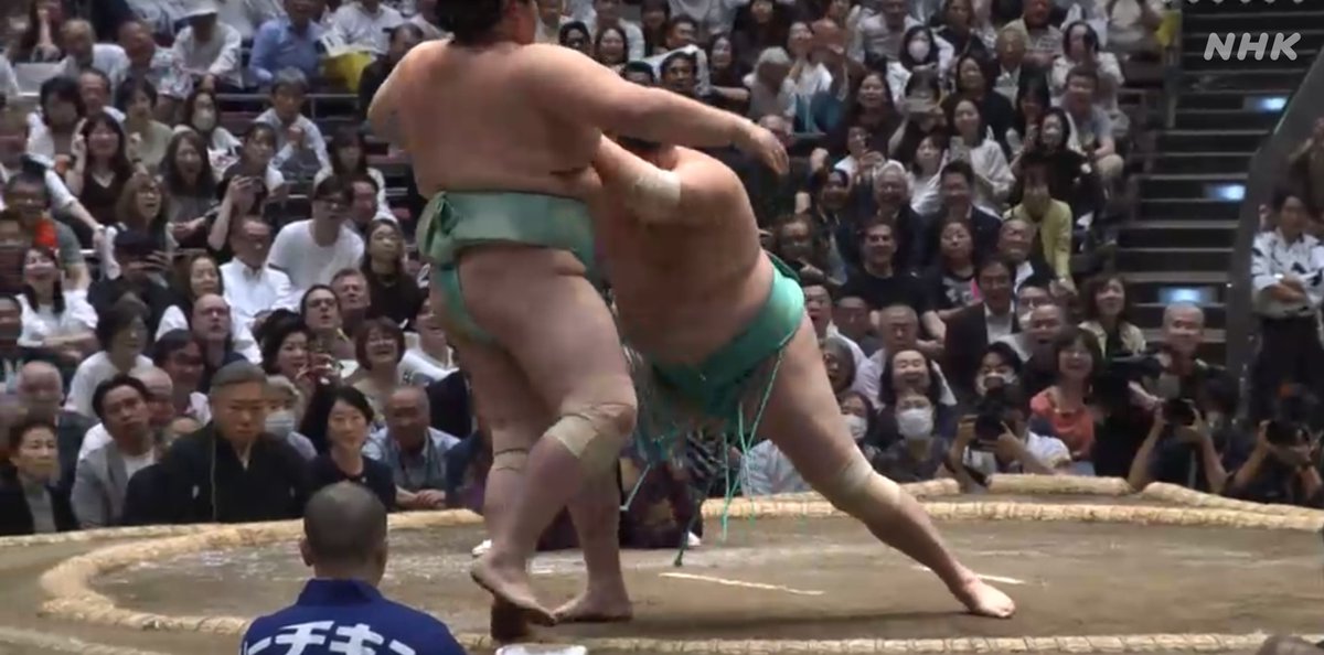 琴櫻