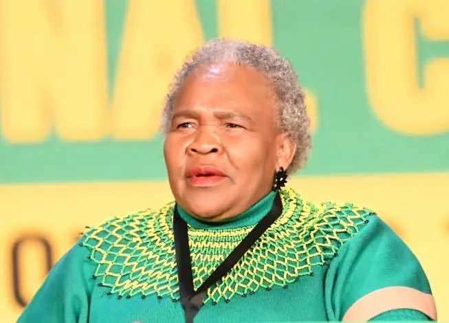 MissPatriot🇿🇦🇿🇦🇿🇦 tweet media