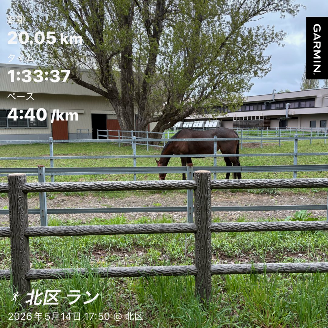 tk@札幌ランナー tweet media