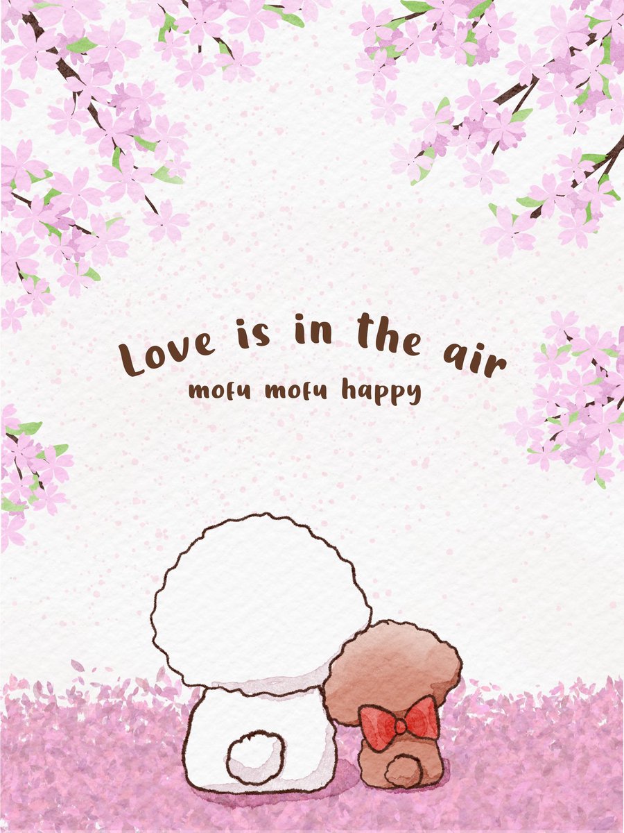 モフモフはっぴー(Mofuppi) tweet media