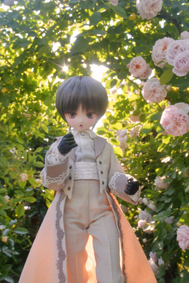 Iris@あやめ (@Iris801) / Posts / X