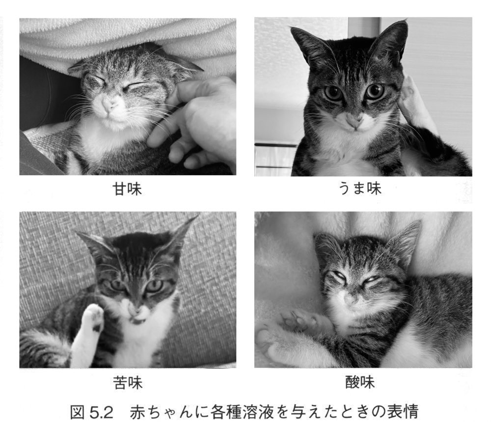 いえもり tweet media