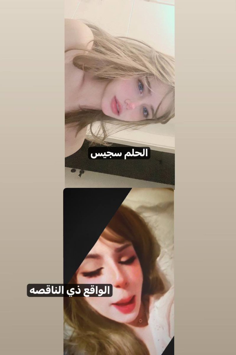 اقدم فان للملكه tweet media