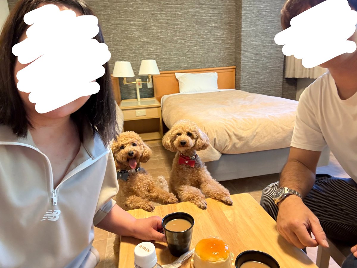 かおり tweet media