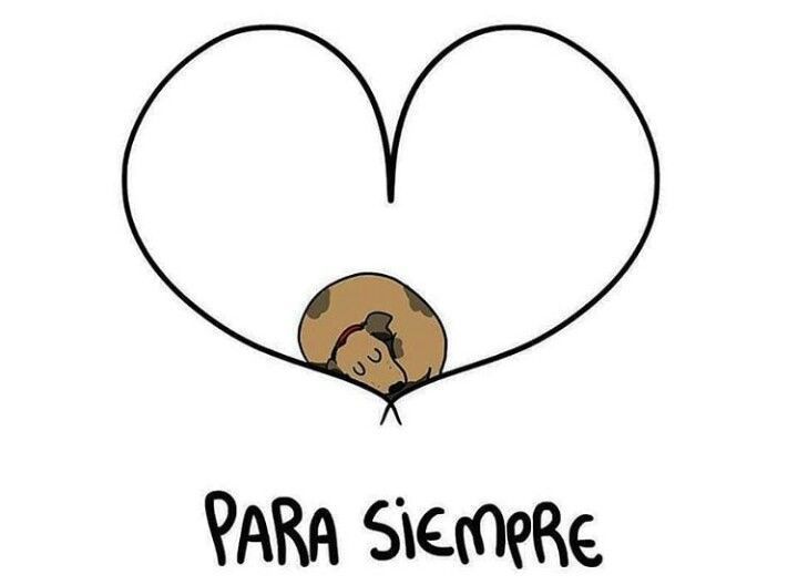 rey_latino33087's tweet photo. https://t.co/nQxDBTiCb3