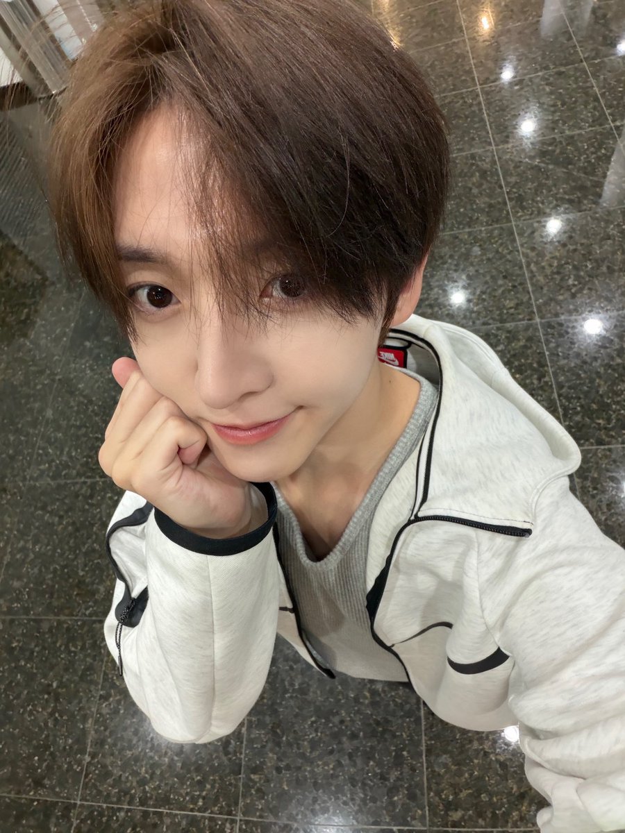도리 tweet media