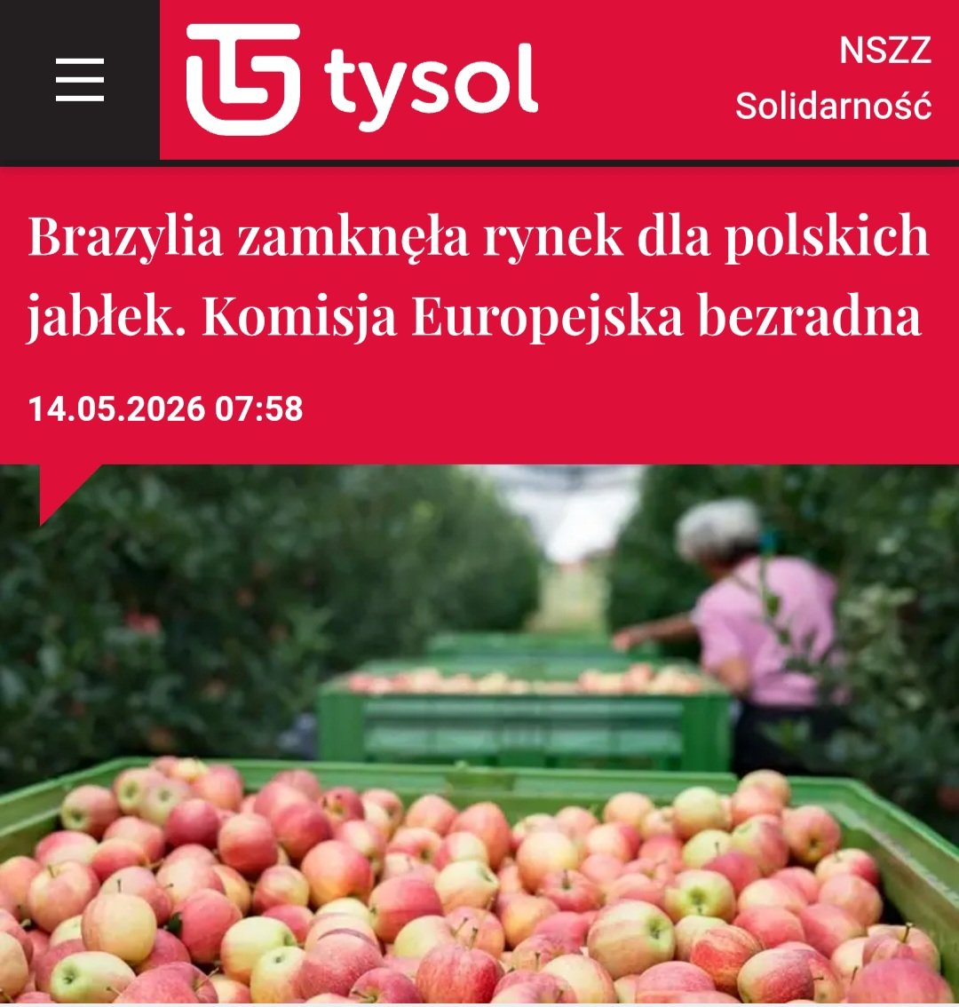 Maciej Wąsik 🇵🇱 tweet media