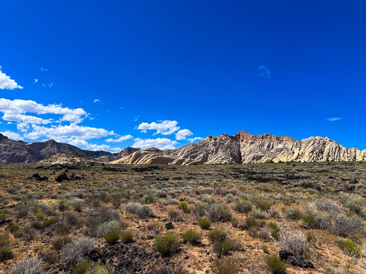 prairieguy2016's tweet photo. Thinking Thursday! Big, deep blue sky. Old &amp; worn, white &amp; red mountains. Green Sagebrush &amp; red rock soil. Long, winding, black rivers of ancient lava tubes of a world once on fire. 
#wandering #lavatubes #utah #desert #desertsolitaire https://t.co/6p42inGLQs