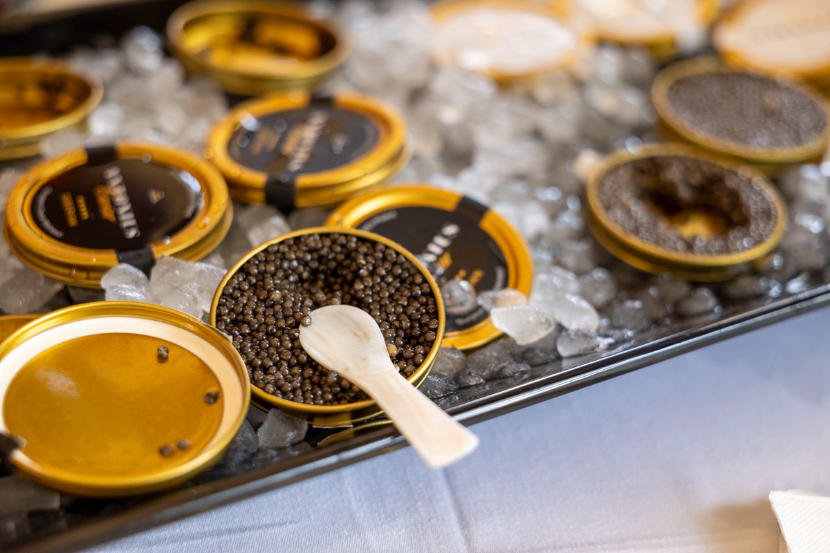 PLenEspana's tweet photo. La recepción de ayer con motivo de la Fiesta Nacional fue una excelente oportunidad para descubrir lo mejor de la gastronomía polaca y algunos de sus secretos menos conocidos 🇵🇱✨

Desde el caviar — del que Polonia es el segundo productor mundial, hasta los vinos cada vez más interesantes gracias a los cambios climáticos que favorecen su producción  en Polonia🍷. Una cocina llena de sorpresas, calidad y tradición.

Todo esto fue posible gracias a nuestros magníficos patrocinadores, a quienes agradecemos sinceramente: @adamedfarma, Antonius,  @kbarczentewicz , @Cisowianka4Life  y @POT_GOV_Pl , que nos trajo a extraordinarios chefs de cocina👨‍🍳👏

#Polonia #FiestaNacional #GastronomíaPolaca #PolishFood #Caviar #VinoPolaco #Cisowianka #TurismoPolonia 🇵🇱 🍽️